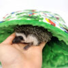 jeż pigmejski sklep akcesoria dla jeża zabawki terrarium pokarm karma