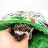 jeż pigmejski sklep akcesoria dla jeża zabawki terrarium pokarm karma